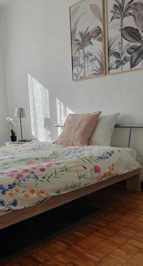 Charming Penthouse Near Como Lake Chiasso Ngoại thất bức ảnh